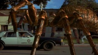 Spiders still 6