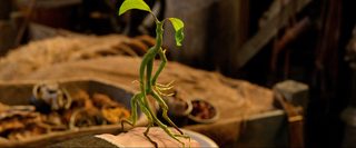 Fantastic Beasts and Where to Find Them still 5