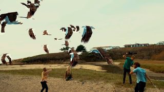Birdemic 3: Sea Eagle still 2