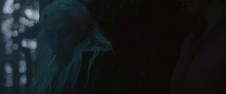 The Survivalist still 7