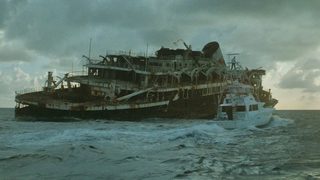The Island still 5