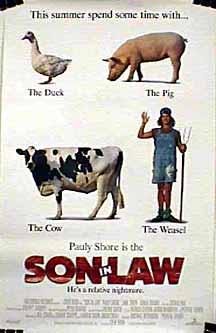Son in Law still 3