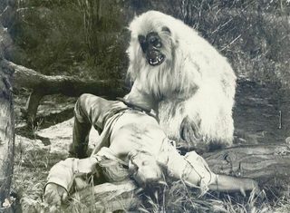 The White Gorilla still 2