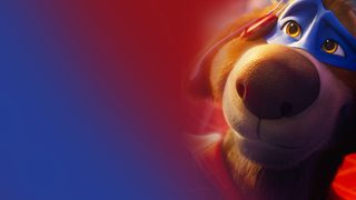 Charlie the Wonderdog still 7