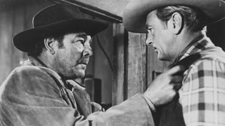 Springfield Rifle still 8