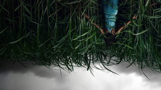 In the Tall Grass still 4