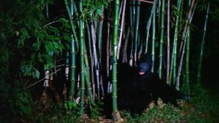 The Beast That Killed Women still 3