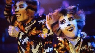 Cats still 3