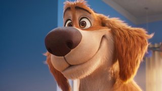 Charlie the Wonderdog still 3