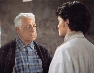 The Horse still 1