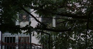 A Quiet Place in the Country still 8
