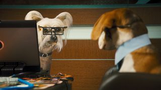 Cats & Dogs: The Revenge of Kitty Galore still 7
