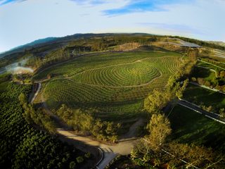 The Biggest Little Farm still 1