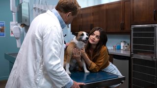 Puppy Love still 3