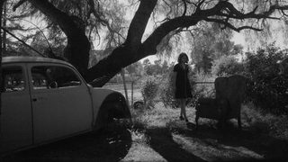Fremont still 6