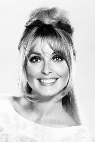 Sharon Tate, photo 3 of 3
