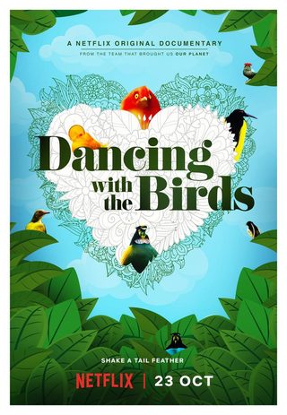 Dancing with the Birds still 1