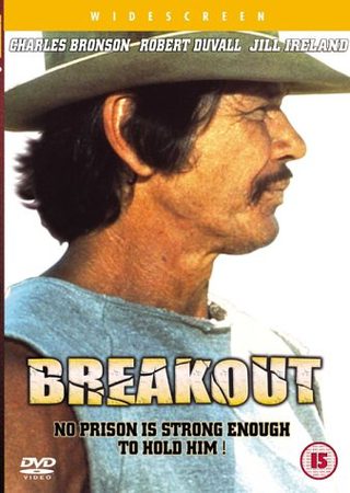 Breakout still 4
