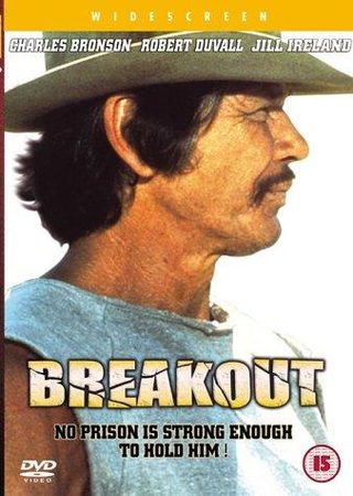 Breakout still 7