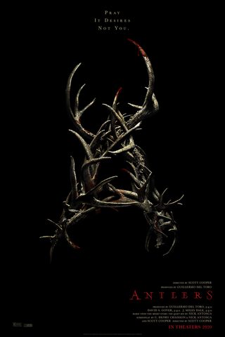 Antlers still 2