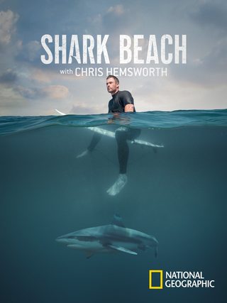 Shark Beach with Chris Hemsworth still 5