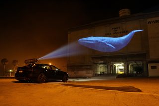 Racing Extinction still 2