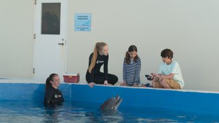 Bernie the Dolphin still 5