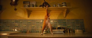 Cats still 5