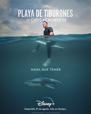Shark Beach with Chris Hemsworth still 4
