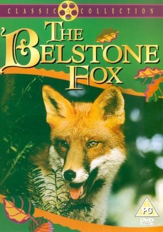 The Belstone Fox still 3