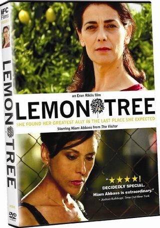 Lemon Tree still 8