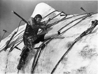 Moby Dick still 8
