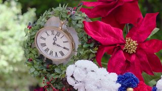 A Christmas Arrangement still 7
