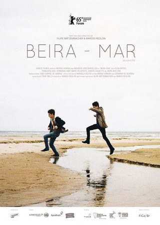 Seashore still 2