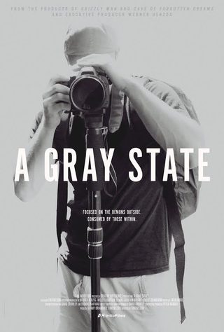 A Gray State still 3