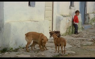 The Holy Innocents still 4