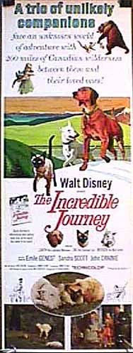 The Incredible Journey still 1