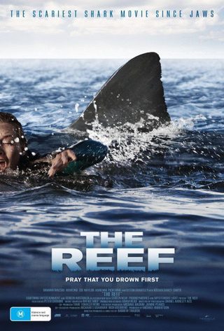 The Reef still 2