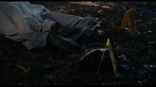 Antlers still 3