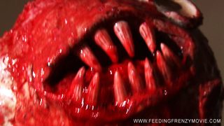 Feeding Frenzy still 5