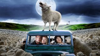 Black Sheep still 6