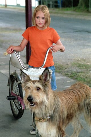 Because of Winn-Dixie still 6