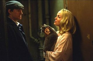 Spider still 3