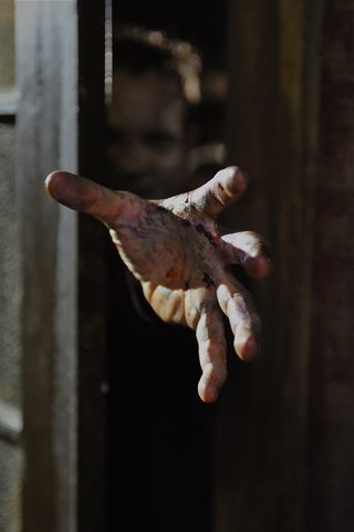 Survival of the Dead still 5