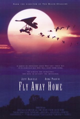 Fly Away Home still 8