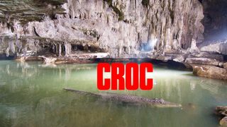 Croc still 3