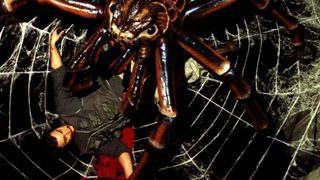 Spiders still 4