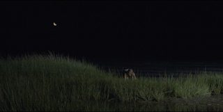 The Watermen still 8