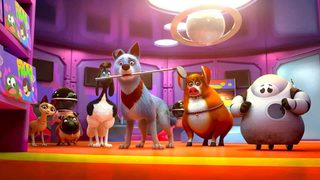 Pets United still 7