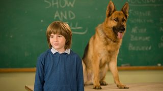 Cool Dog still 1